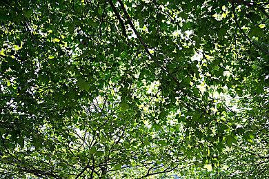 《文明7》反响不佳 开发商Firaxis Games被2K裁员